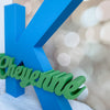 Custom 3D Printed Name & Initial Sign