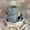 Rocky the Raccoon Ice Cream Pint Holder